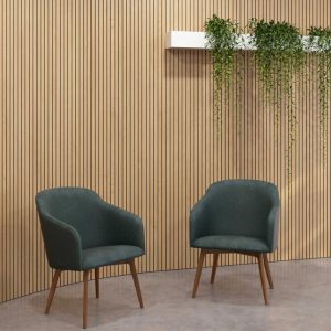 ripiado principal 1 ripiado principal 1